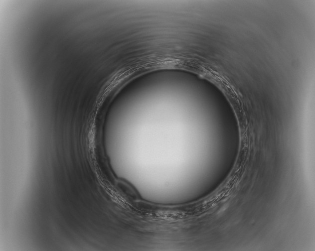 X0000115430242200911121109