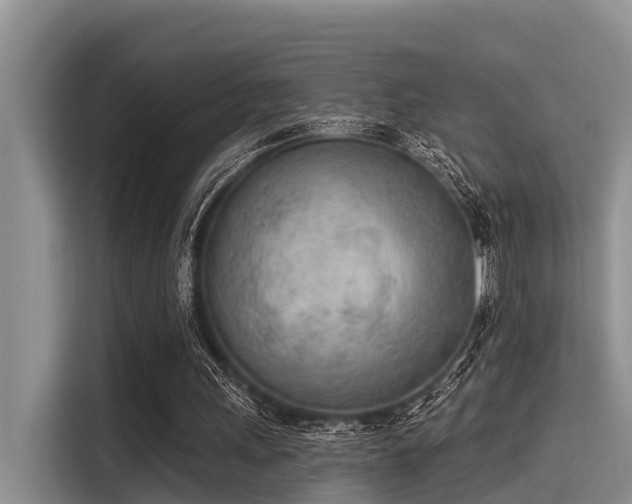 X0000115430243200911121109