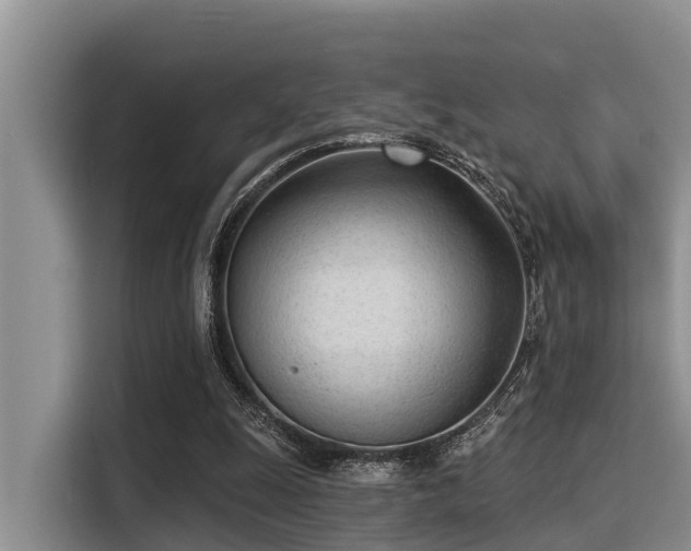 X0000115430247200911121109