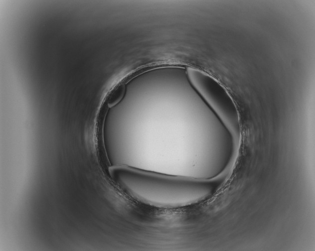 X0000115430248200911121109