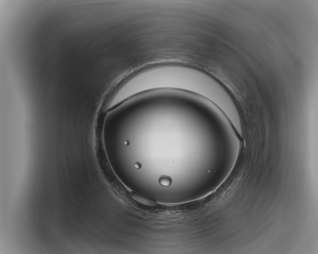 X0000115430252200911121109