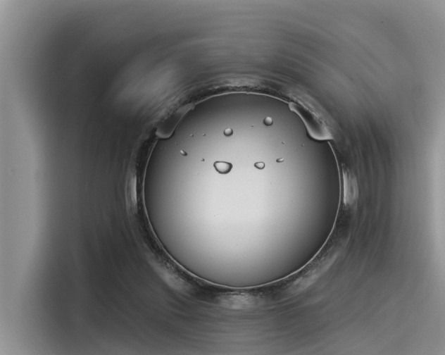 X0000115430253200911121109