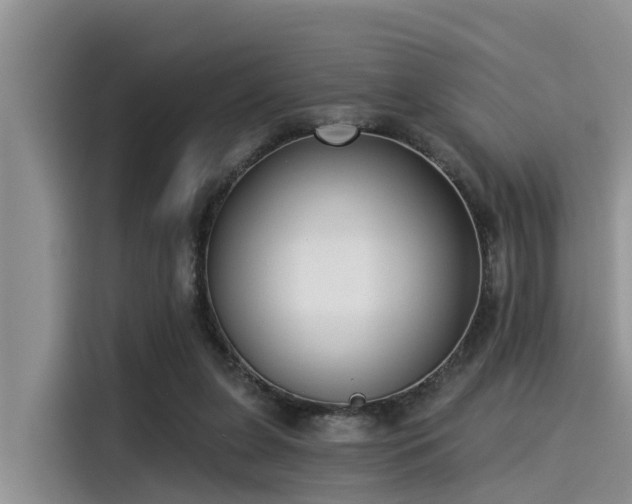 X0000115430255200911121109