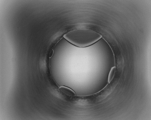 X0000115430256200911121109