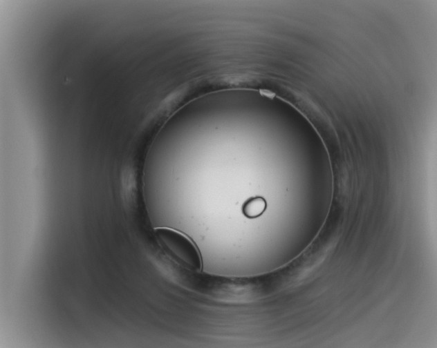 X0000115430260200911121109