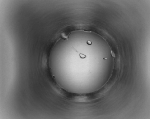 X0000115430266200911121109