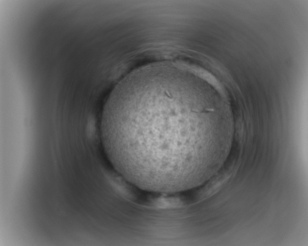 X0000115430270200911121109