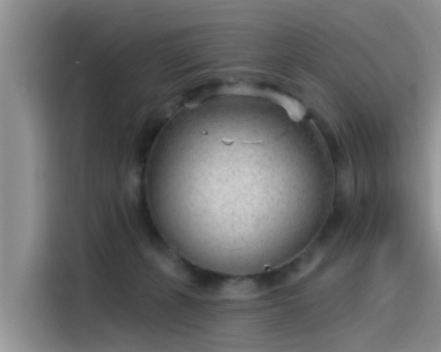 X0000115430271200911121109