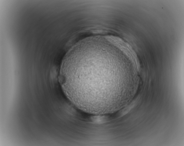 X0000115430273200911121109