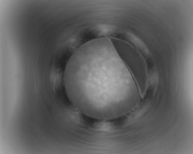 X0000115430276200911121109