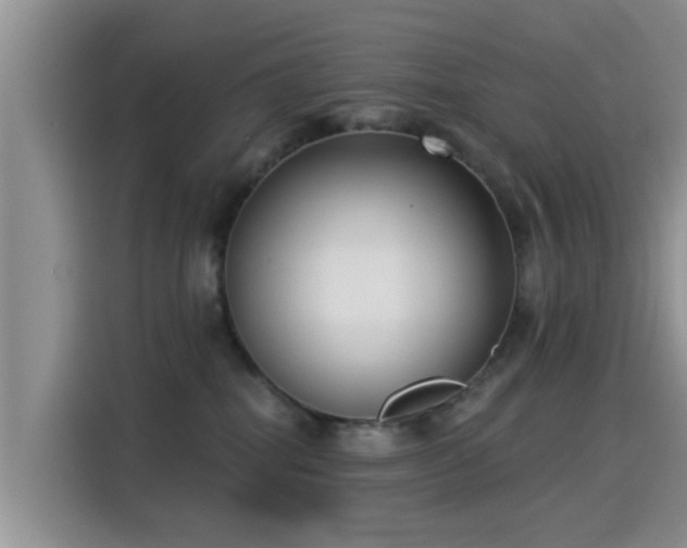 X0000115430282200911121109