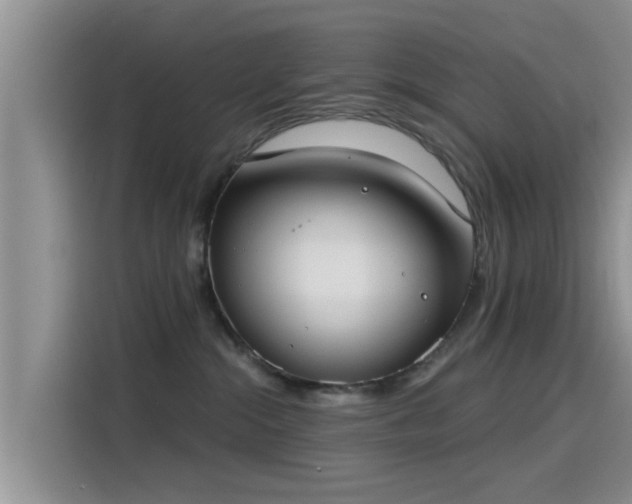 X0000115430284200911121109