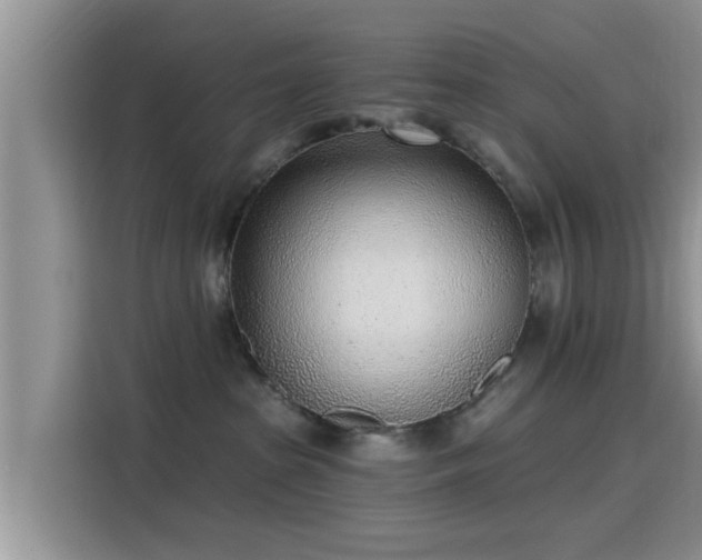 X0000115430285200911121109