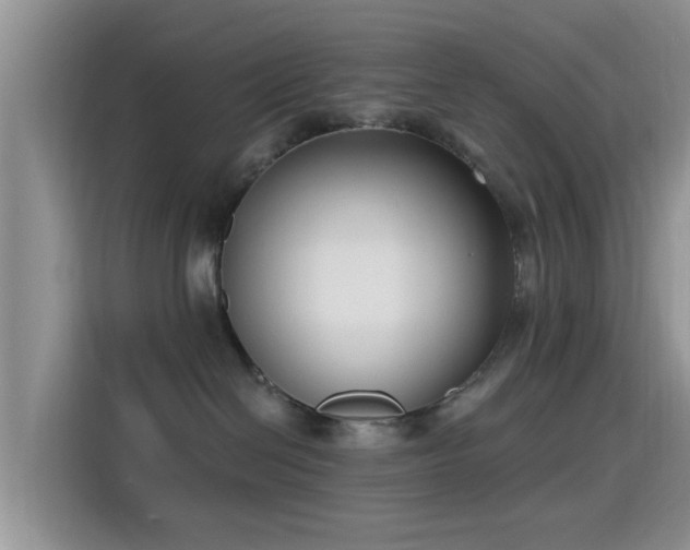 X0000115430286200911121109