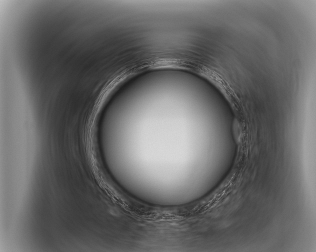 X0000115430289200911121109