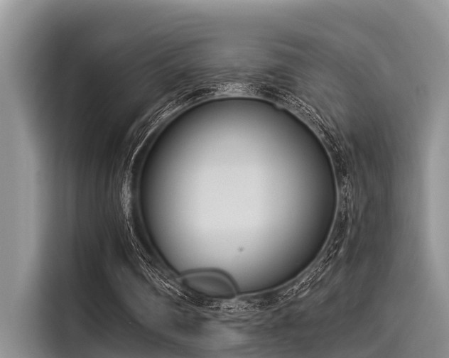 X0000115430290200911121109