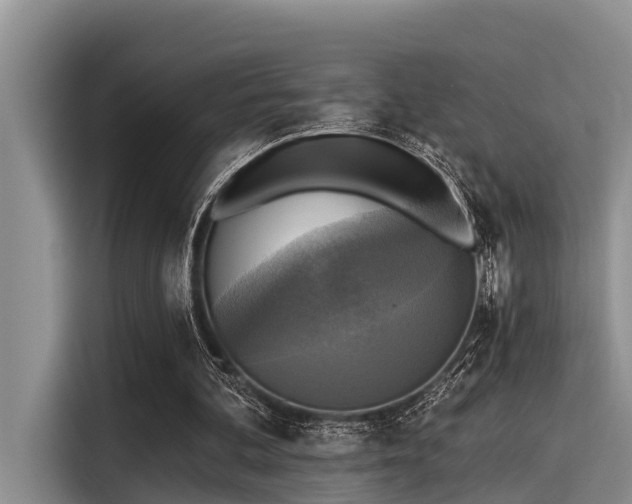 X0000115430292200911121109