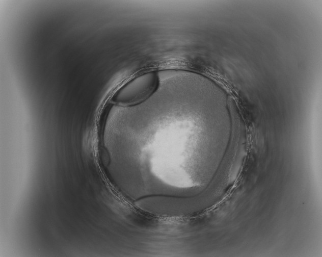 X0000115430293200911121109