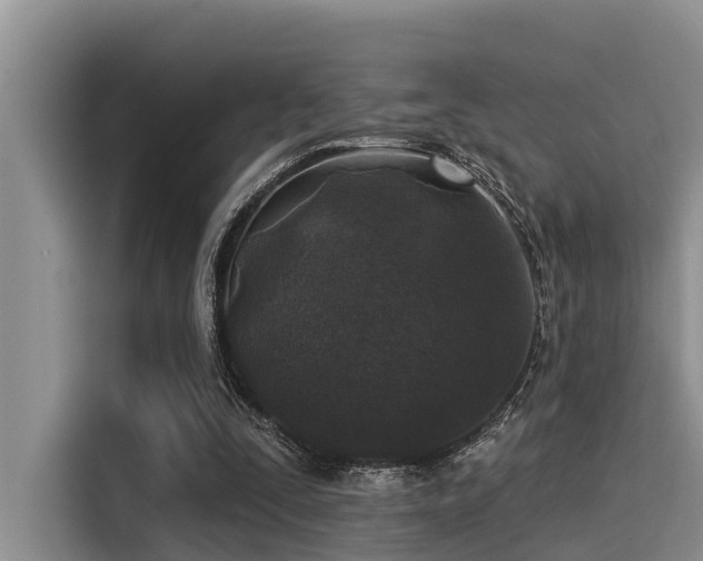 X0000115430295200911121109