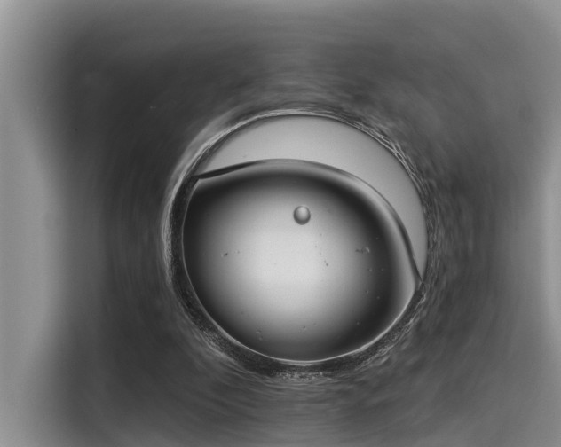 X0000115430296200911121109