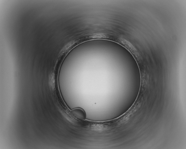 X0000115430298200911121109