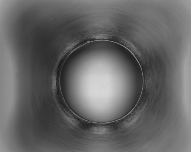 X0000115430299200911121108