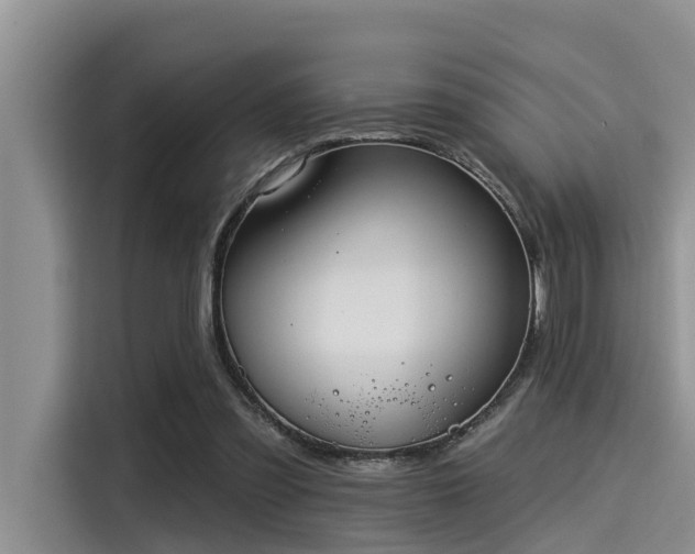 X0000115430301200911121108