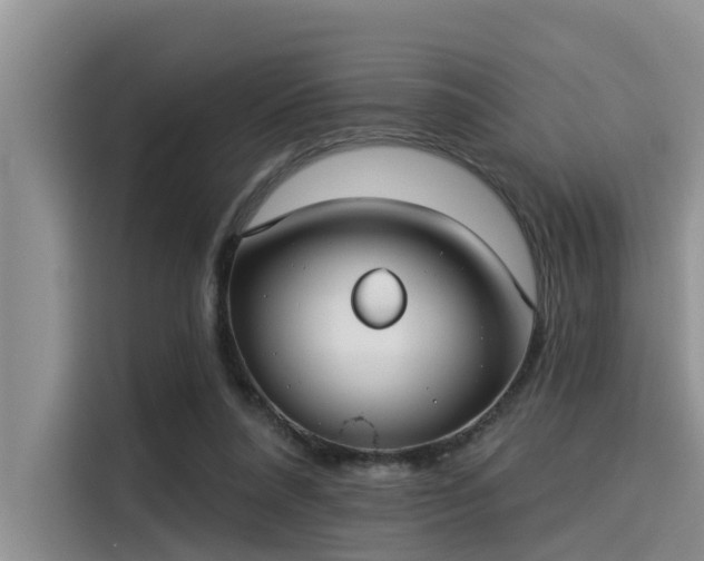 X0000115430304200911121108