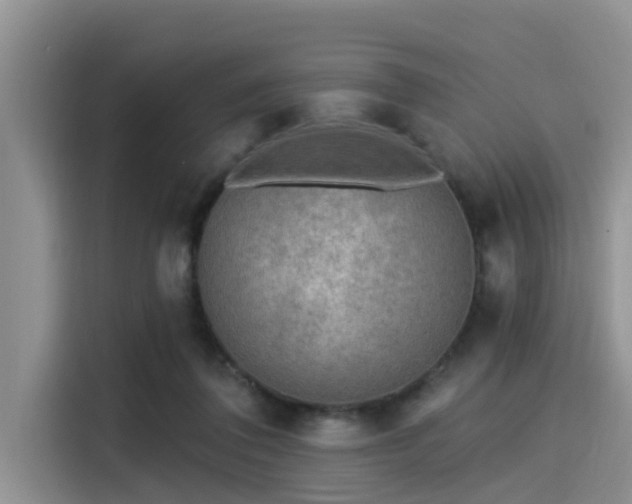 X0000115430308200911121108