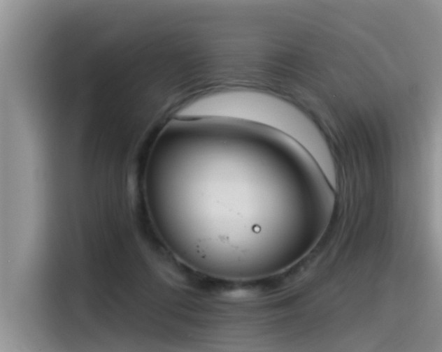 X0000115430312200911121108