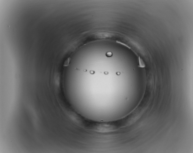 X0000115430315200911121108