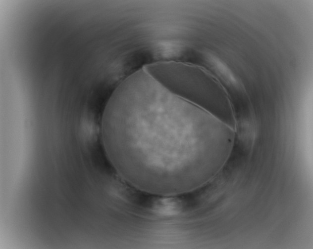 X0000115430324200911121108