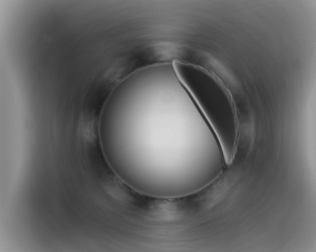 X0000115430325200911121108