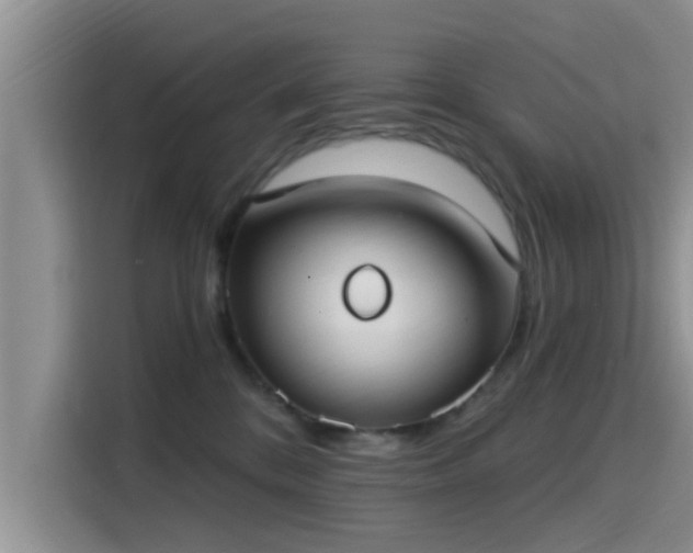 X0000115430328200911121108