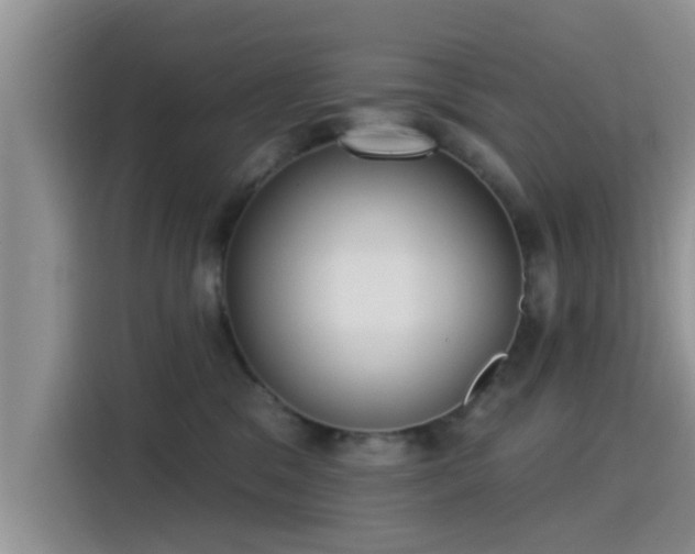 X0000115430329200911121108