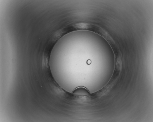 X0000115430330200911121108