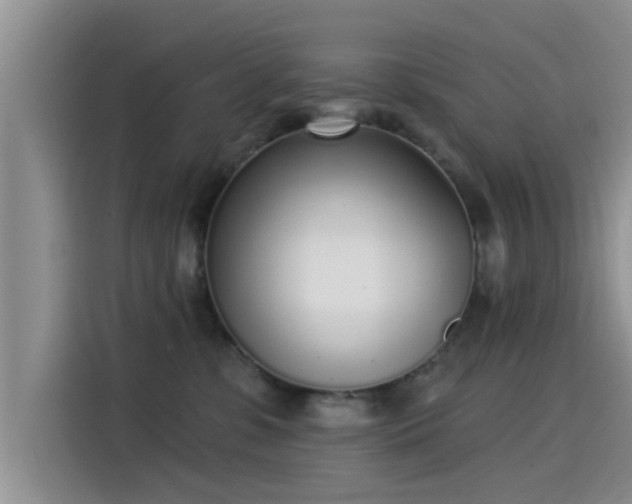 X0000115430331200911121108