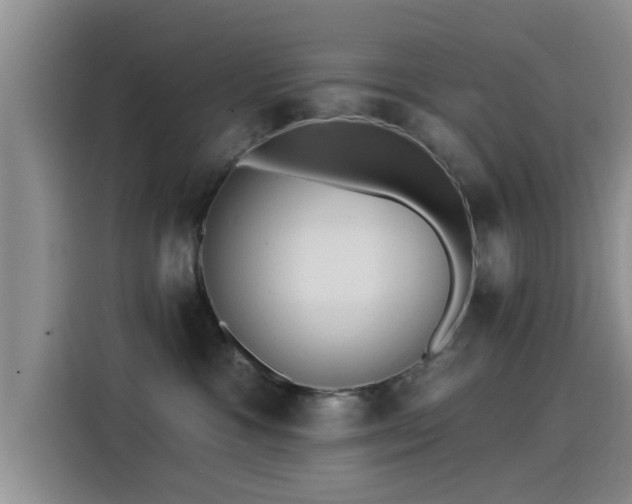 X0000115430333200911121108