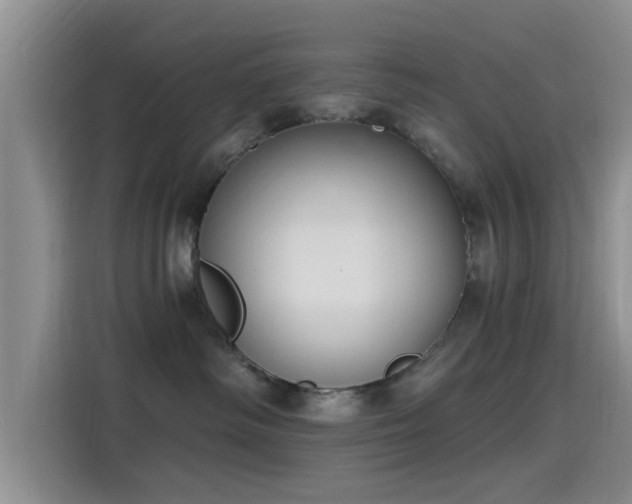 X0000115430334200911121108