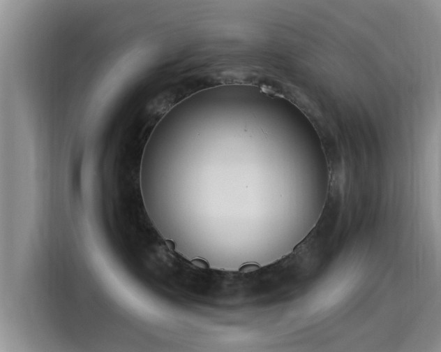 X0000115430335200911121108