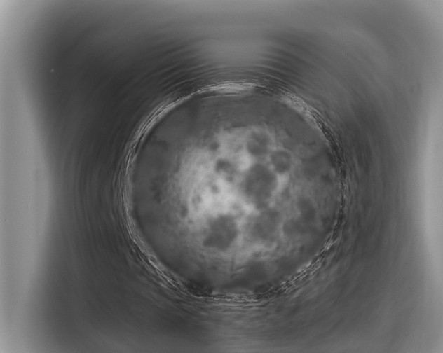 X0000115430337200911121107