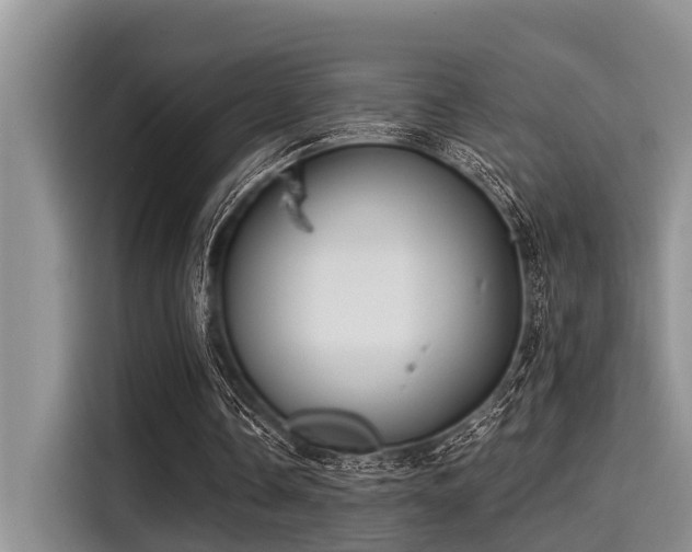 X0000115430338200911121107