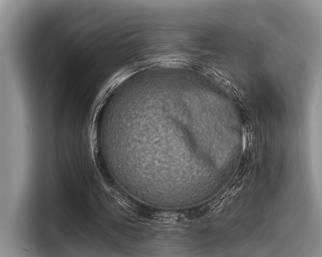 X0000115430339200911121107