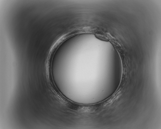 X0000115430341200911121107