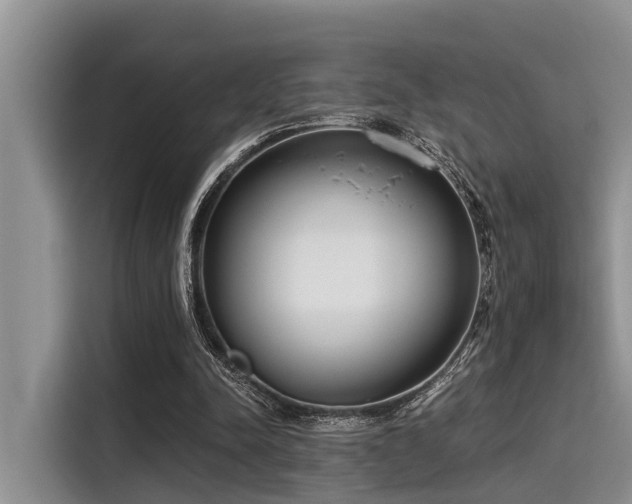 X0000115430342200911121107