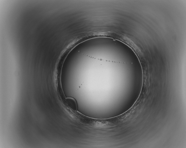 X0000115430346200911121108