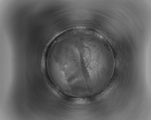 X0000115430347200911121108