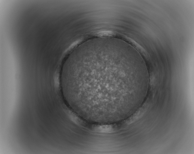 X0000115430353200911121108