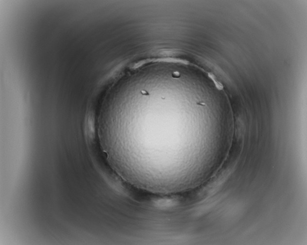 X0000115430358200911121108