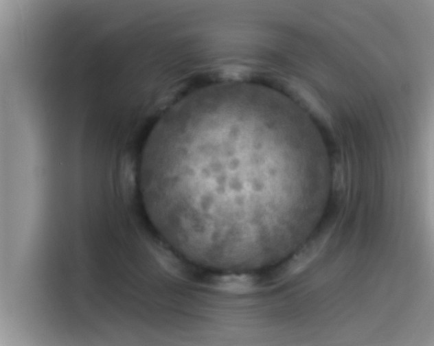 X0000115430363200911121108